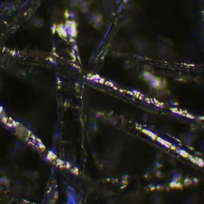 A side of titanium fiber felt under microscop
